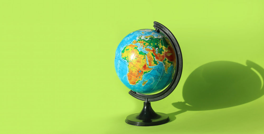 Globe Types Guide Which One to Choose?